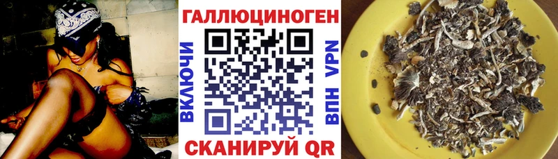 наркошоп  Верещагино  Галлюциногенные грибы Psilocybe 