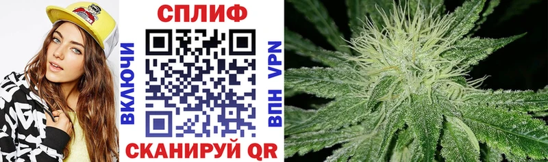 хочу наркоту  Верещагино  Каннабис VHQ 